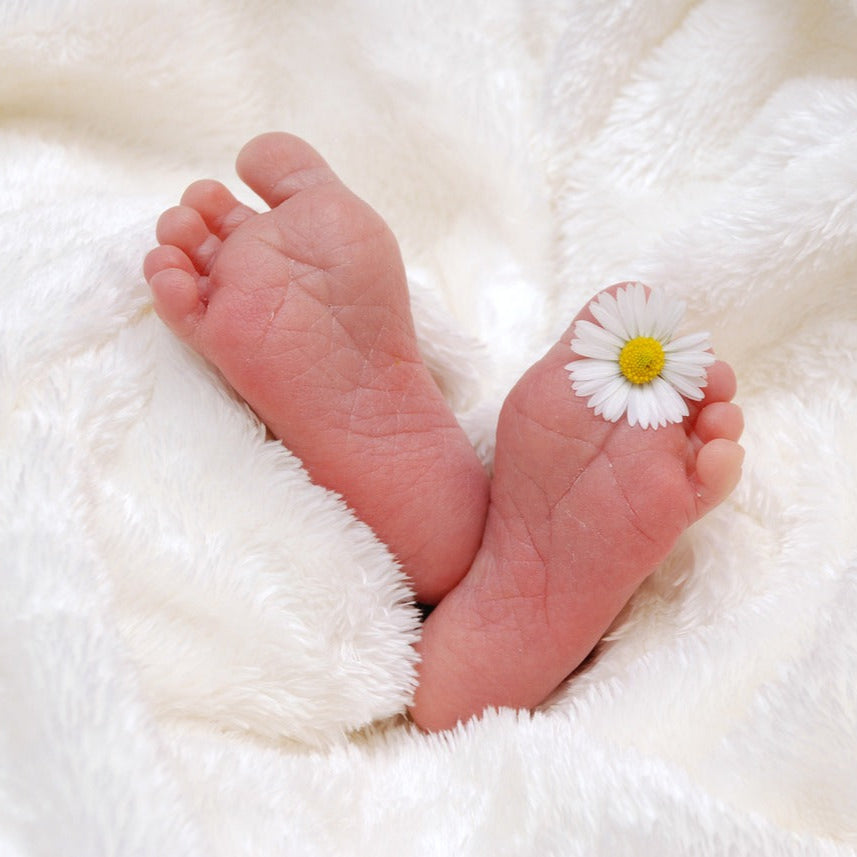 Pieds de bébé avec marguerite